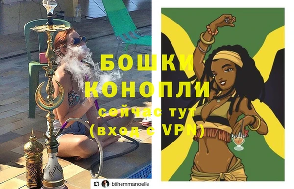 PSILOCYBIN Ладушкин