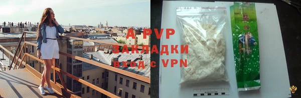 PSILOCYBIN Ладушкин
