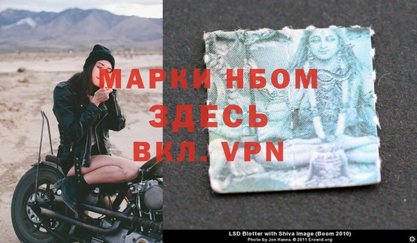 PSILOCYBIN Ладушкин