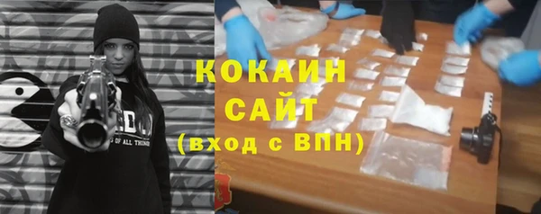 PSILOCYBIN Ладушкин