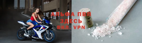PSILOCYBIN Ладушкин