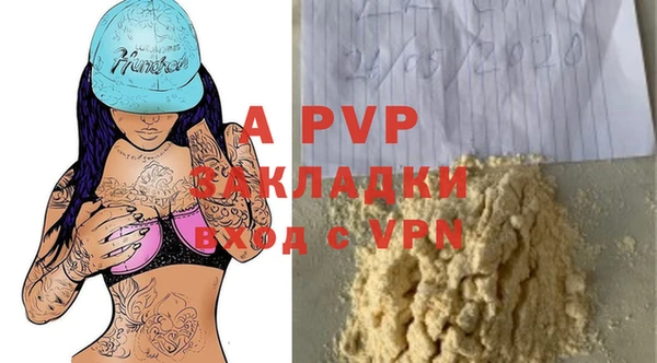 PSILOCYBIN Ладушкин