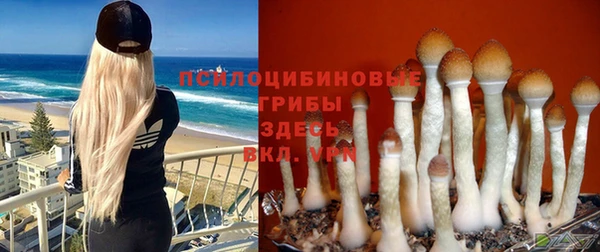 PSILOCYBIN Ладушкин