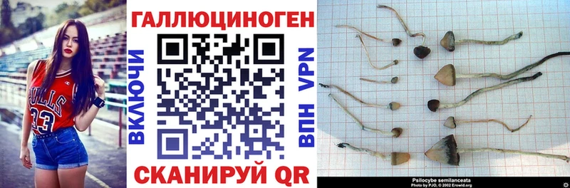 Купить где  Заречный  Псилоцибиновые грибы ЛСД 