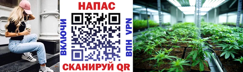 Шишки марихуана THC 21%  Купить где  Заречный 